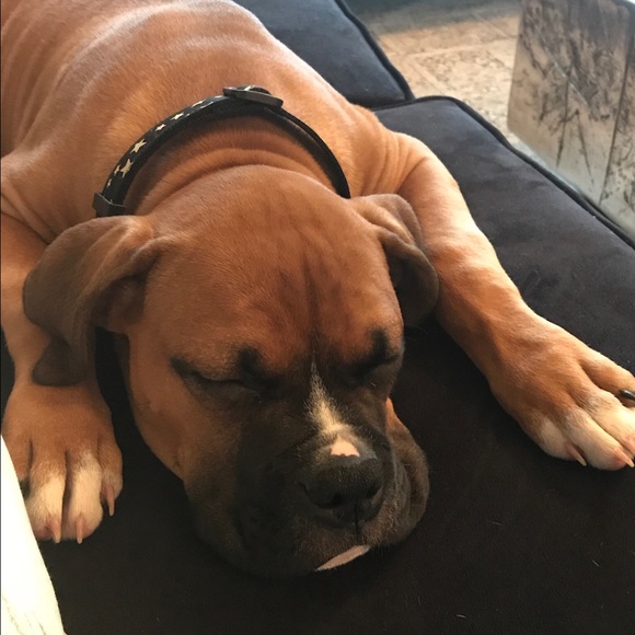 Meet your Posher, Jennifer - Picture 1 of 1